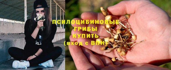 гидра Нефтекумск