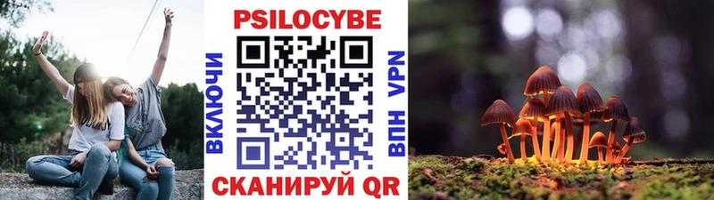 Купить закладки  Ковров  Псилоцибиновые грибы мухоморы 
